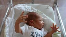 Josef Moulis se narodil 12. června ve 13:53 hodin rodičům Kateřině a Dominikovi ze Zruče. Po příchodu na svět ve FN v Plzni na Lochotíně vážil jejich prvorozený chlapeček 3620 g a měřil 52 cm.