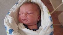 ŠTĚPÁN RADA z Teplé se narodil v klatovské porodnici 14. října v 8.25 hodin (3400 g, 49 cm). Ze svého očekávaného prvorozeného syna má radost maminka Anna.
