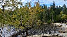 Šumava a Černé jezero.