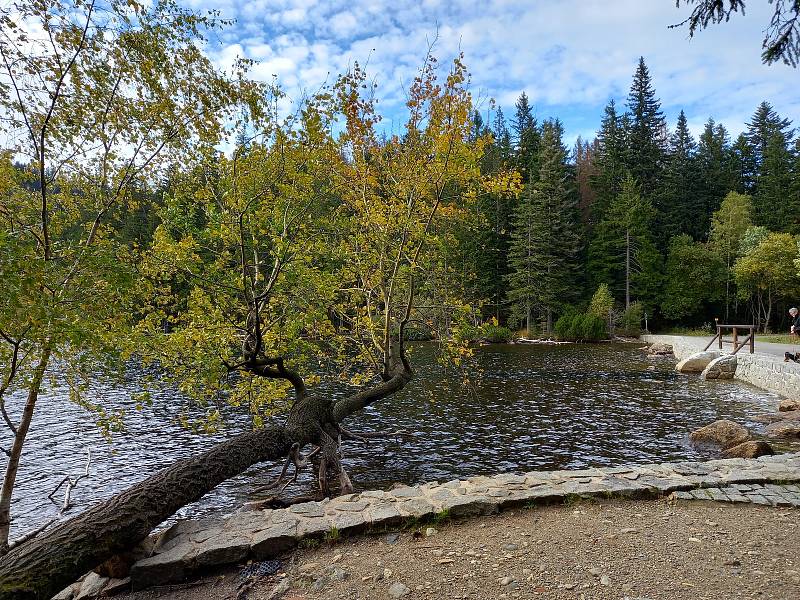 Šumava a Černé jezero.