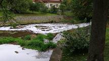 Do Drnového potoka v Klatovech uniklo velmi nebezpečné mořidlo, zabilo ryby.  Foto: MP Klatovy