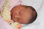 Elizabeth Adamová z Klatov (2925 gramů, 48 cm) se narodila v klatovské porodnici 7. března v 11.10 hodin. Rodiče Lucie a Costantino věděli dopředu, že Giuliano (6) bude mít sestřičku.