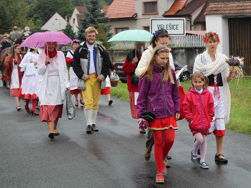 Dožínky ve Velešicích a Pačejově na Klatovsku.