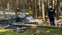 Hasiči likvidují požár u Prášilského jezera.