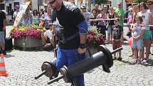 Strongman v Sušici 2014