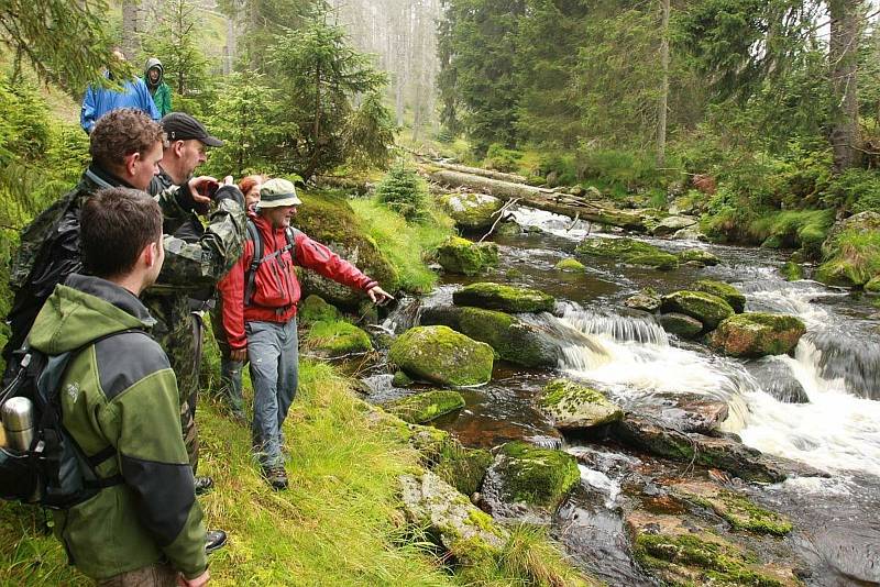 Šumava.