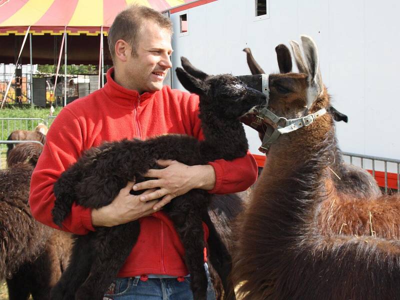 Národní cirkus originál Berousek přijel do Klatov