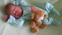 David H. se narodil 29. července v Domažlické nemocnici s mírami 3460 gramů a 52 centimetrů.