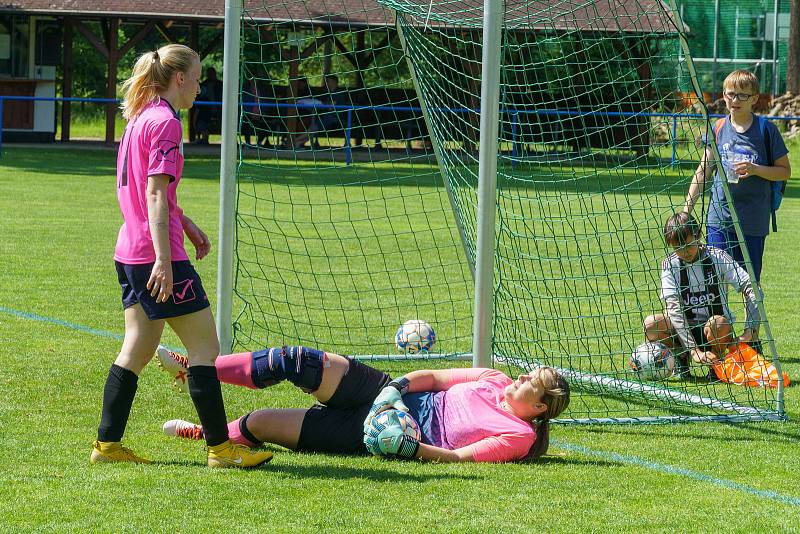 5. kolo DAFL, léto 2022: Kobra Stars Bolešiny - Devils Klášter (bílé dresy) 5:3.