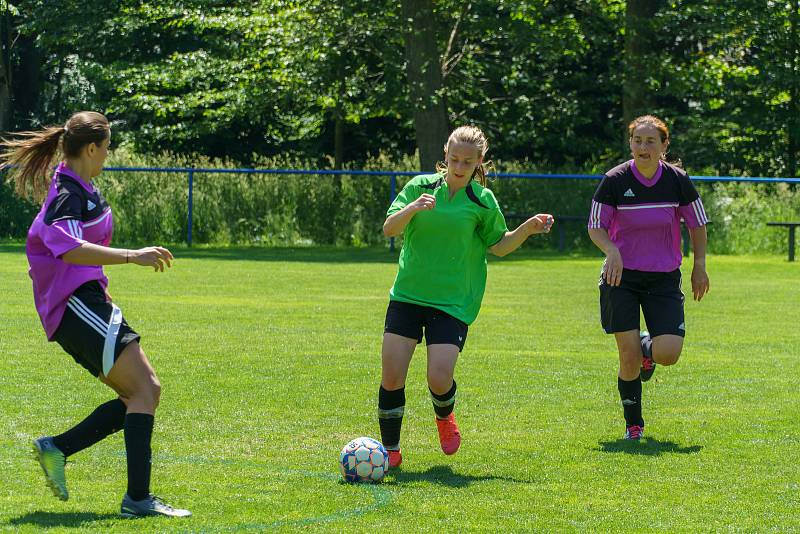 5. kolo DAFL, léto 2022: PS Křeč Mochtín (fialové dresy) - Sokolky Neznašovy 2:3.