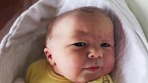 Andrea Rašínová z Kolince (3360 g) se narodila v klatovské porodnici 10. listopadu v 10.45 hodin. Z narození dcery se radují rodiče Iveta a David.