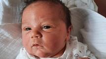 Antonín Hrdina se narodil v klatovské nemocnici 28. května v 9:39 hodin rodičům Denise a Petrovi z Oprechtic. Při narození vážil 3340 g. Doma se těšil na malého brášku dvouletý Matouš.
