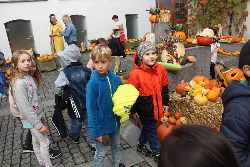 Výstava dýní a tykví v Klatovech.