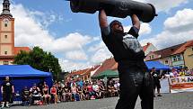 Strongman v Sušici 2014.