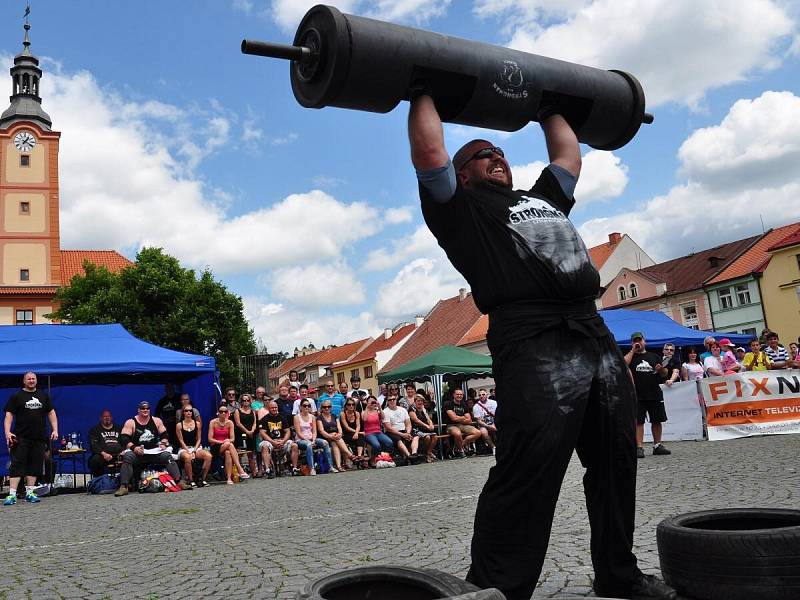 Strongman v Sušici 2014.