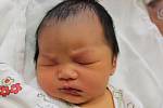 Nguyen Duc Huy z České Kubice (3625 g, 52 cm) se narodil v klatovské porodnici 30. března v 9.49 hodin.
