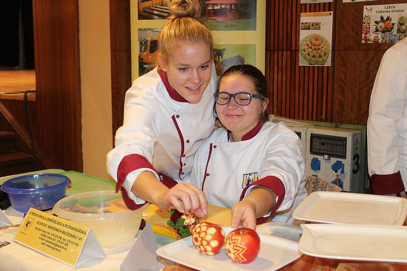 Akademie řemesel v Klatovech 2021.