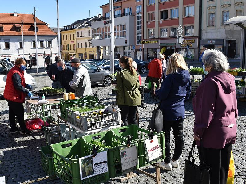 Farmářské trhy na klatovském náměstí lákaly, nakoupit si přišla řada zákazníků.