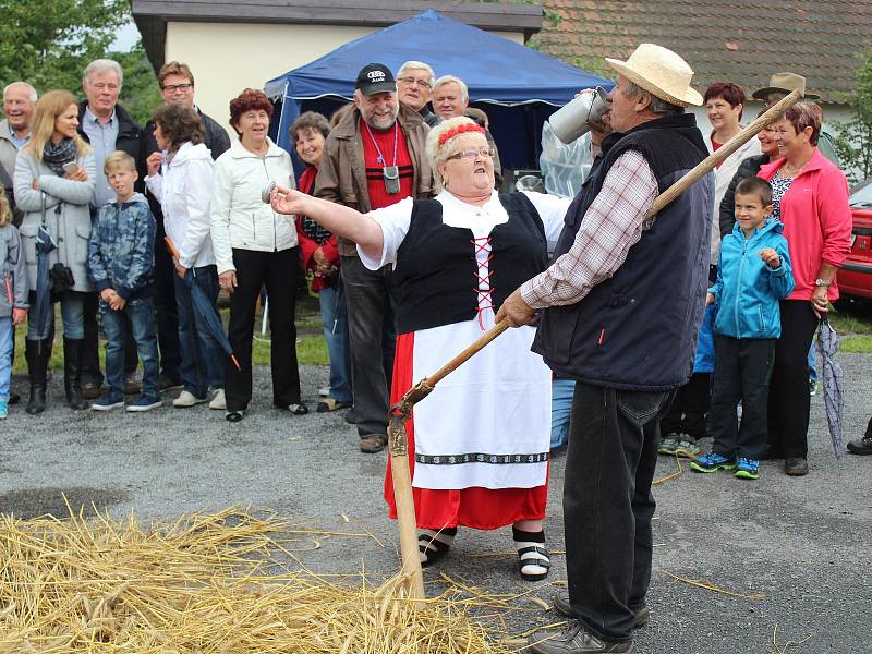 Dožínky ve Velešicích a Pačejově na Klatovsku.