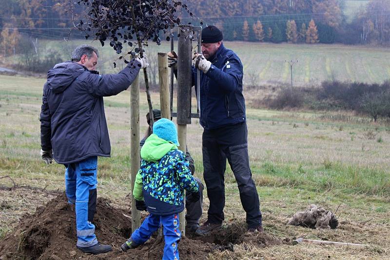 Sázení stromů ve Střeziměři.