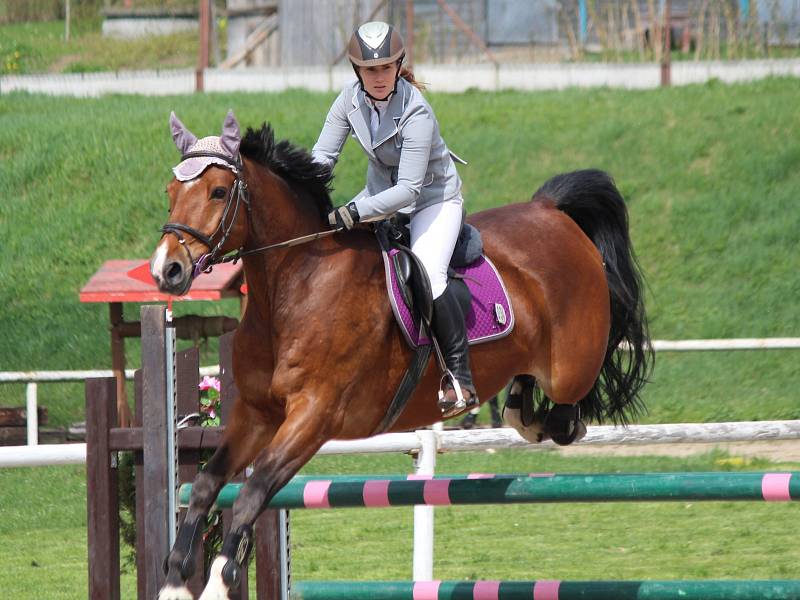 Jezdecké závody Klatovy 2017: 1. závody Klatovského poháru