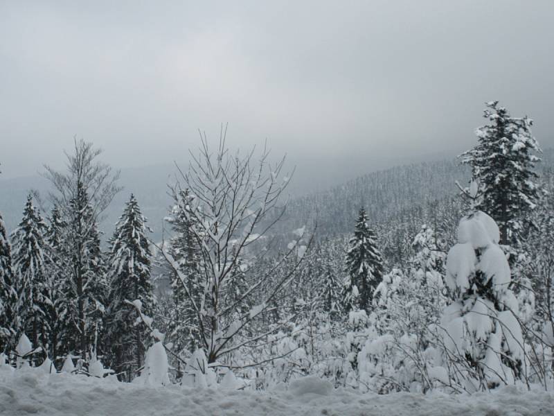 Zahájení lyžařské sezony na Šumavě. Ski areál Špičák 8. 12. 12