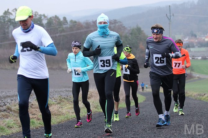 Dolanského závodu na 5 km se zúčastnilo přes třicet běžců a běžkyň, kteří se museli vypořádat nejen s mrazivým počasí, ale také s mírným stoupáním.