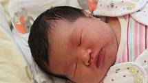 Le Ngoc ANH ze Sušice (3610 g, 52 cm) se narodila v klatovské porodnici 6. listopadu v 16.01 hodin. Doma se na sestřičku těší Linda (9).