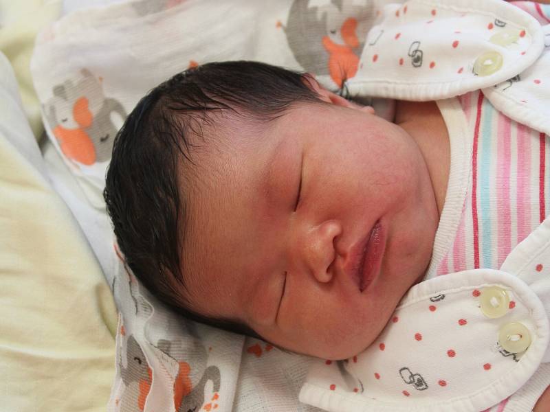 Le Ngoc ANH ze Sušice (3610 g, 52 cm) se narodila v klatovské porodnici 6. listopadu v 16.01 hodin. Doma se na sestřičku těší Linda (9).