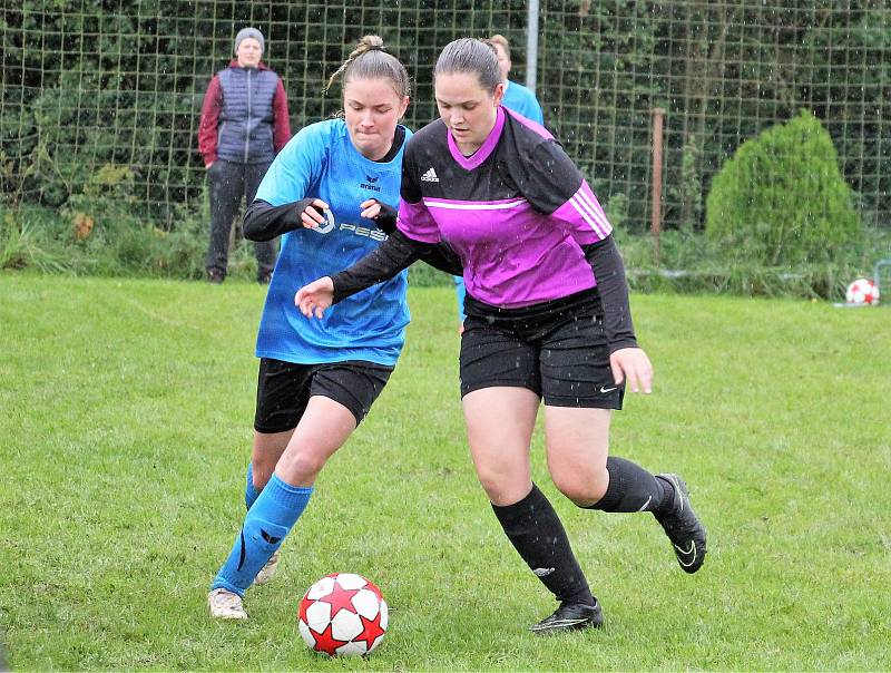 Letní DAFL, 10. kolo: Topovky Řenče (modré) - PS Křeč Mochtín 4:1.