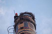 Instalace čapího hnízda na 40 m vysoký komín v klatovském Klatexu.