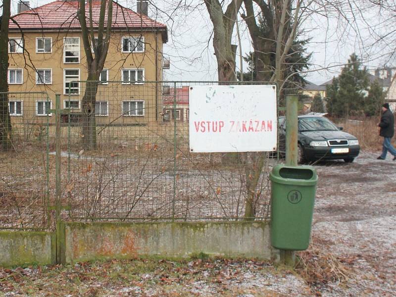 Ve Školní ulici v Klatovech spadl 6. února při bouřce vzrostlý strom.