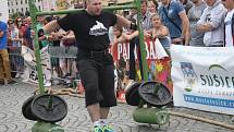 Strongman v Sušici 2014