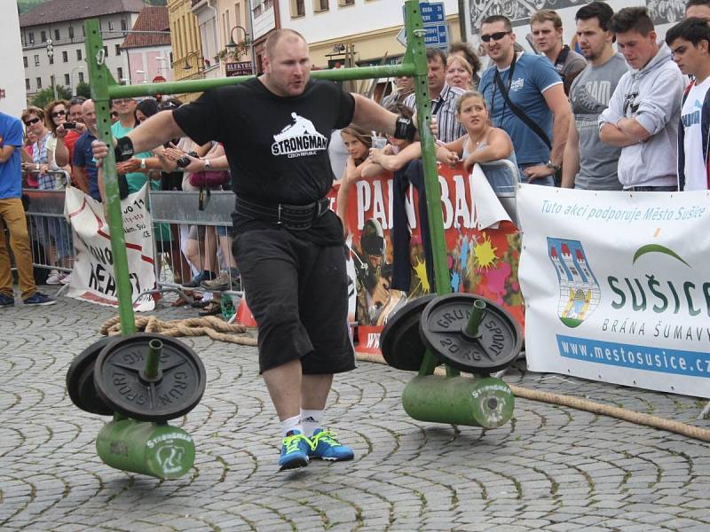 Strongman v Sušici 2014