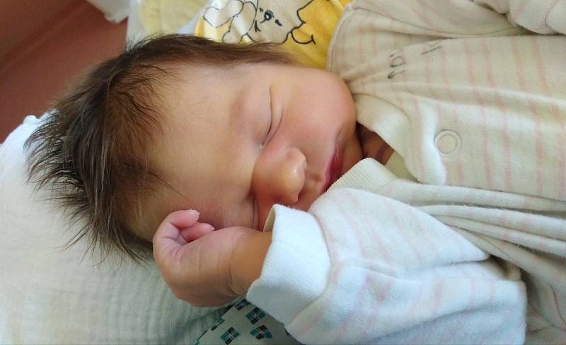 Elena Faměrová ze Sušice se narodila v klatovské porodnici 15. října v 10:35 hodin (3790 g, 52 cm). Rodiče Michaela a Vojtěch věděli pohlaví svého miminka předem, tatínek byl u porodu.
