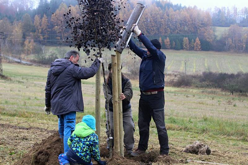 Sázení stromů ve Střeziměři.