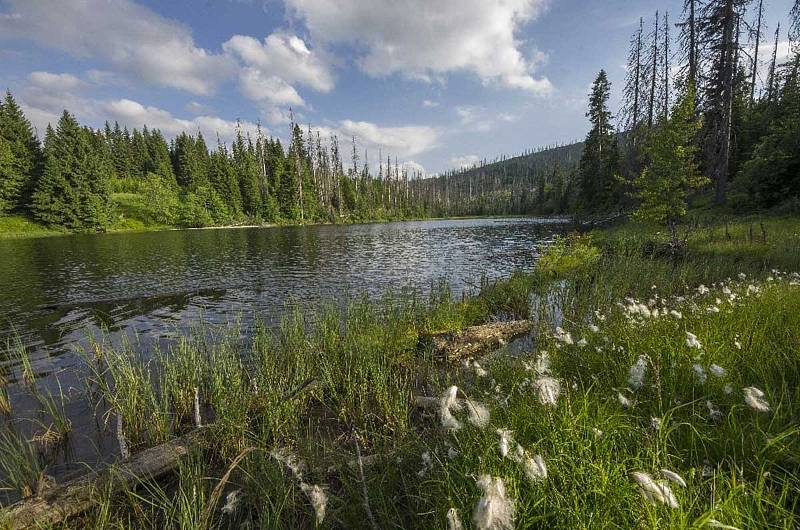 Jezero Laka.