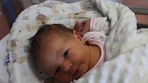 Melani Bendlová ze Železné Rudy (3060 g, 49 cm) se narodila v klatovské porodnici 14. června v 8:27 hodin rodičům Monice a Markovi. Pohlaví miminka věděli rodiče dopředu, nejvíc se na malou sestřičku těšil čtyřletý bráška Matty.