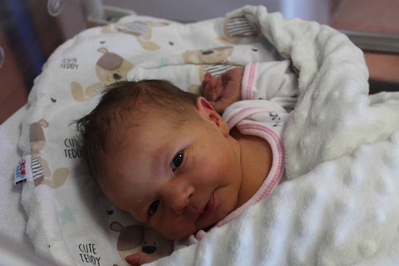 Melani Bendlová ze Železné Rudy (3060 g, 49 cm) se narodila v klatovské porodnici 14. června v 8:27 hodin rodičům Monice a Markovi. Pohlaví miminka věděli rodiče dopředu, nejvíc se na malou sestřičku těšil čtyřletý bráška Matty.