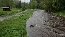 Šumava 2. června