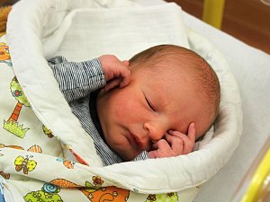 První miminka narozená v roce 2024 v porodnicích v Plzeňském kraji.