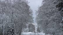 Sněhová nadílka na Železnorudsku a Prášilsku.