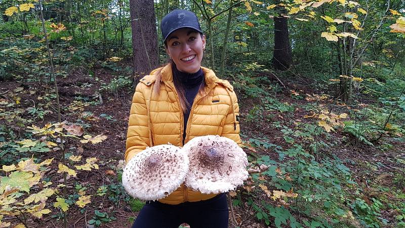 Šumavská houbička Lucie Drozdová ze Sušice se svými úlovky během celého roku.