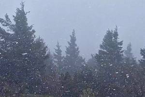 Výrazné ochlazení přineslo v sobotu na vrcholky Šumavy první sněhové přeháňky. Video z chumelenice na Velkém Javoru zveřejnili na sociální síti WeLoveŠumava.