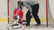 Liga mladších žáků: HC Klatovy (v červeném) - HC Lužnice 9:3. 