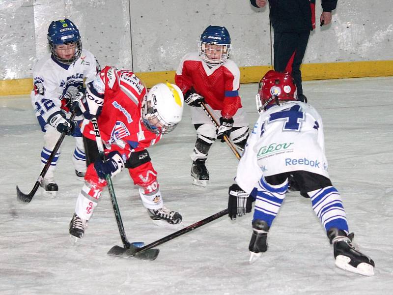 HC Klatovy - HC Plzeň 1929 6:8