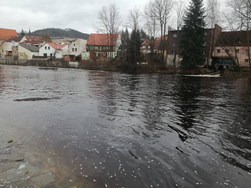 Otava v Sušici.