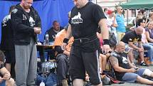 Strongman v Sušici 2014