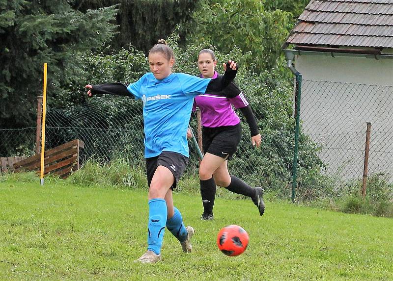 Letní DAFL, 10. kolo: Topovky Řenče (modré) - PS Křeč Mochtín 4:1.