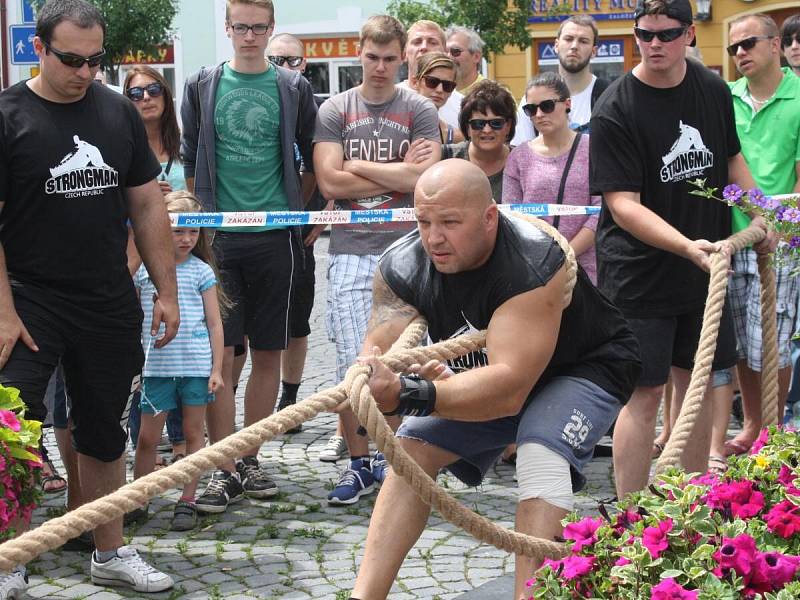 Strongman v Sušici 2014